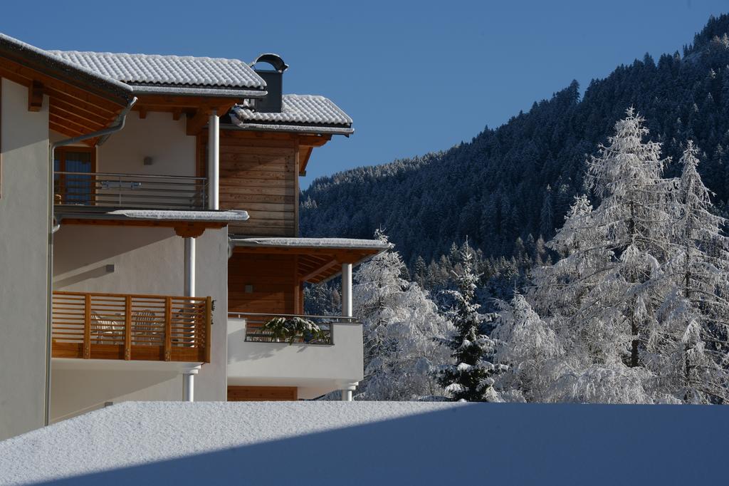 Appart hôtel Nele Ziano di Fiemme